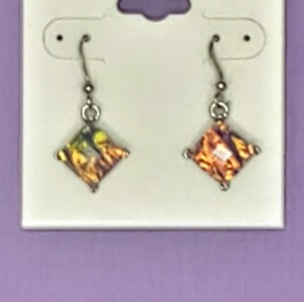 Multicolor Dangle Earrings